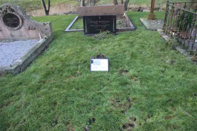 Grave number: 4 11    50-51