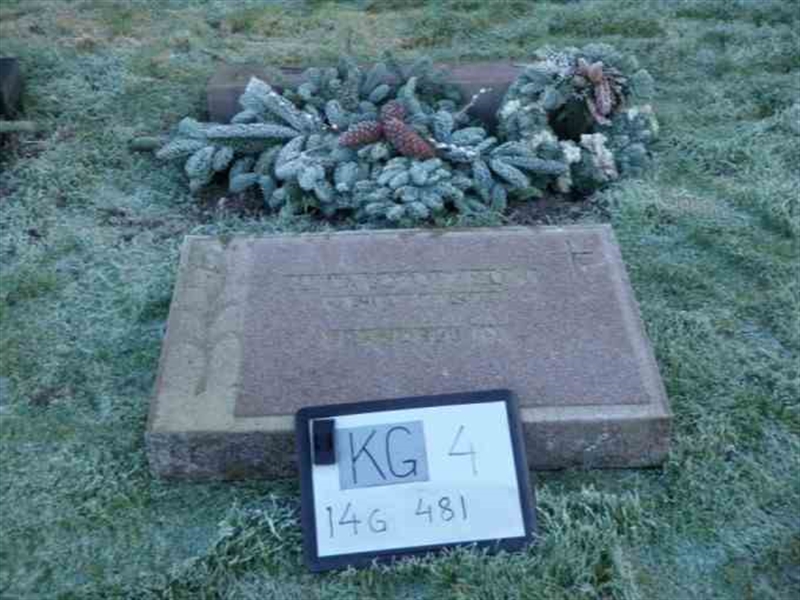 Hautatunnus: 4 14-G   481