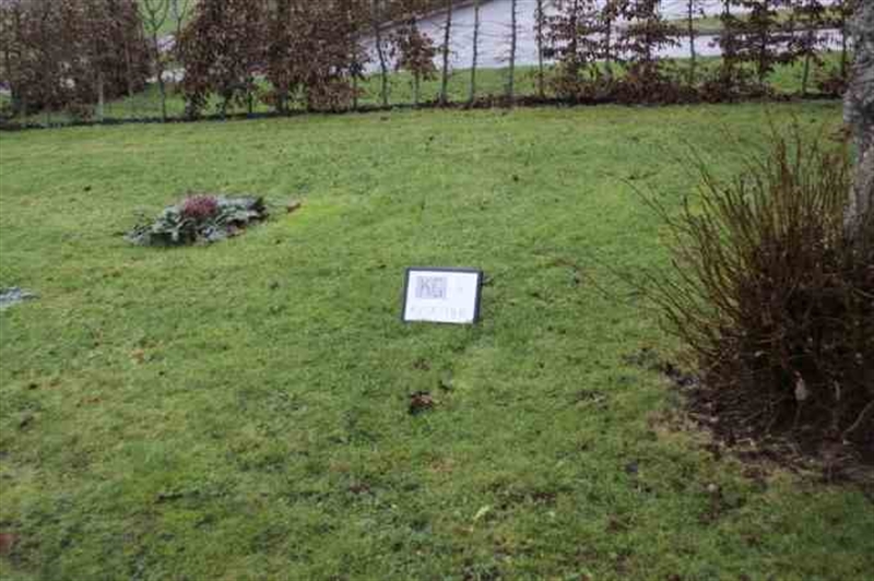 Hautatunnus: 4 13   186