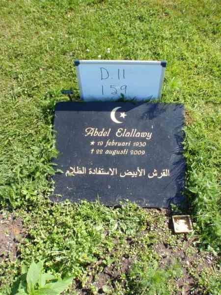 Gravnummer: 3 11   159