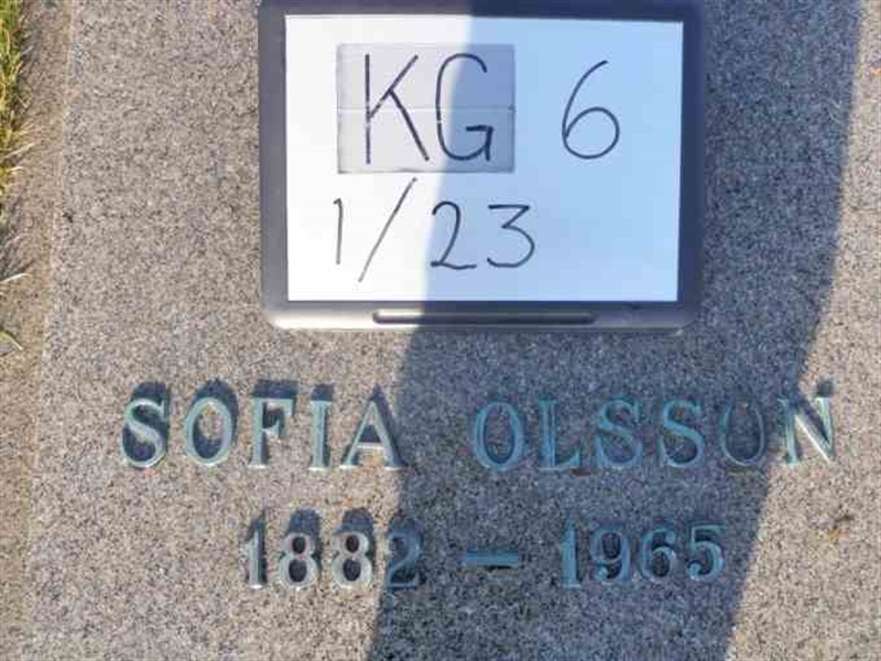 Hautatunnus: 6 01    23-1