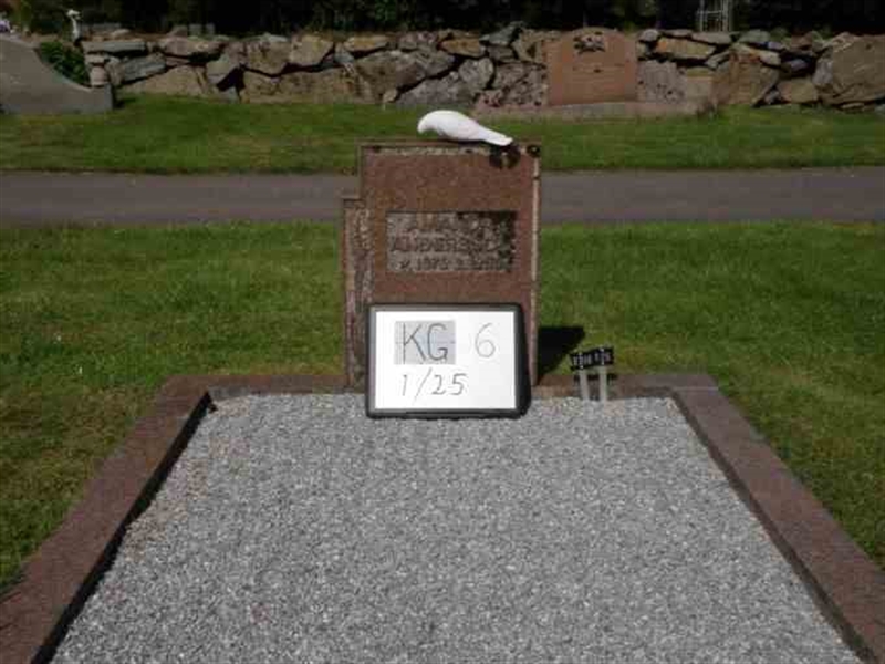 Gravnummer: 6 01    25-1