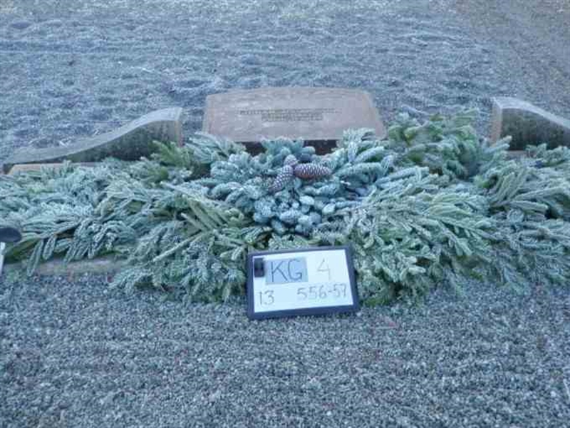 Hautatunnus: 4 13   556-557