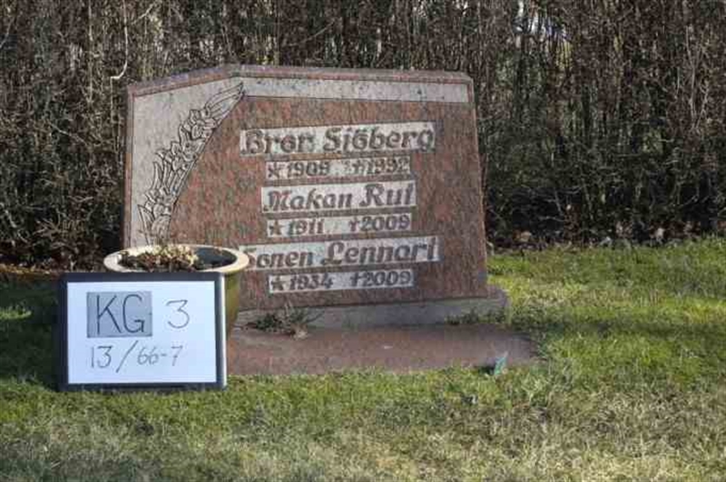 Hautatunnus: 3 13    66-67