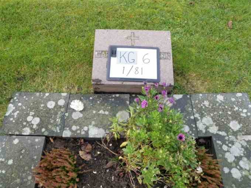 Hautatunnus: 6 01    81-2