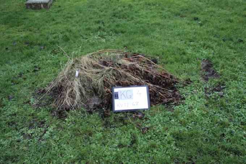 Grave number: 4 12    67