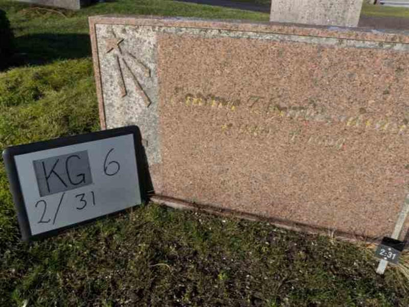 Hautatunnus: 6 02    31-1