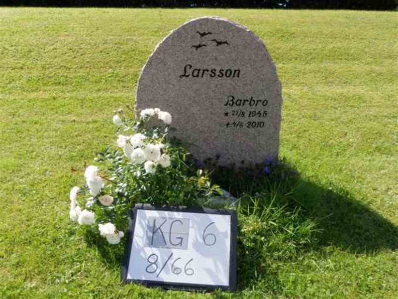 Gravnummer: 6 08    66