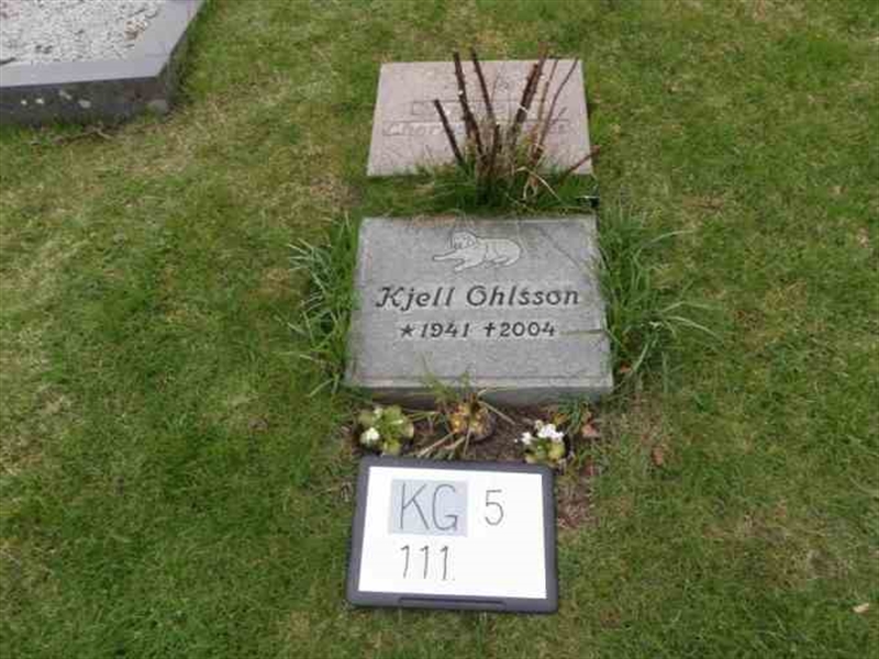 Hautatunnus: 5   111-2