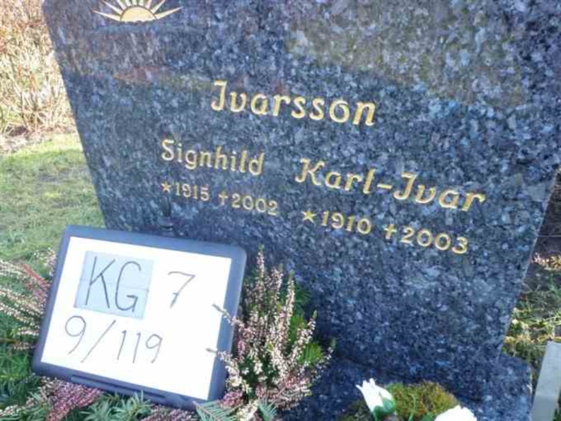 Gravnummer: 7 09   119