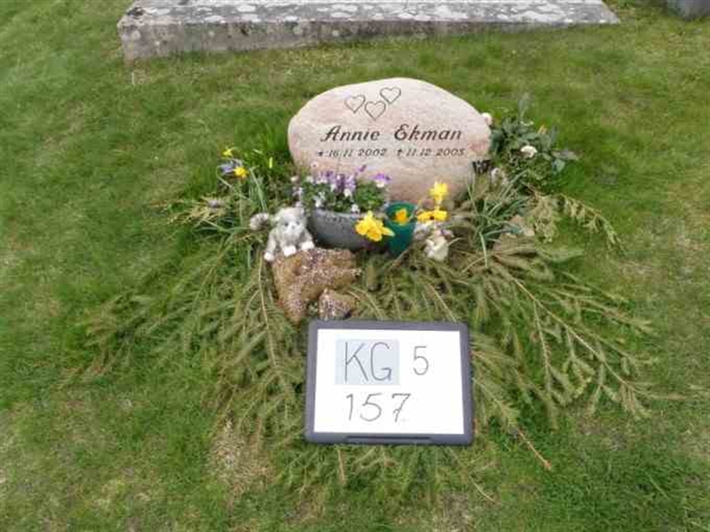 Hautatunnus: 5    17-2