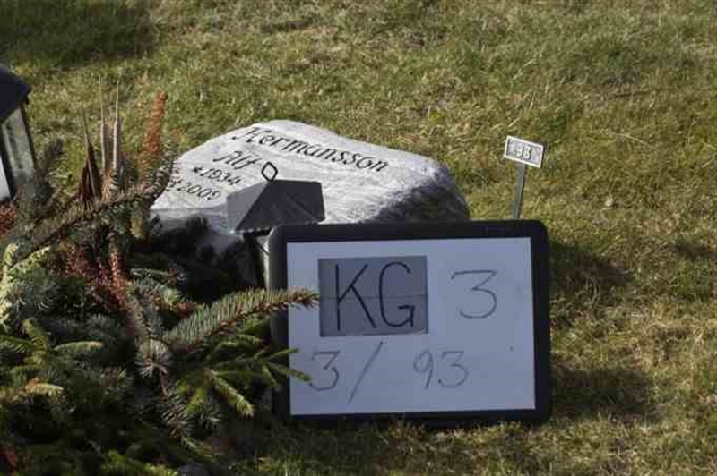 Gravnummer: 3 03    93