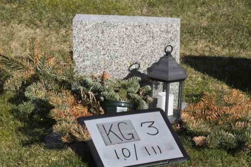 Gravnummer: 3 10   111