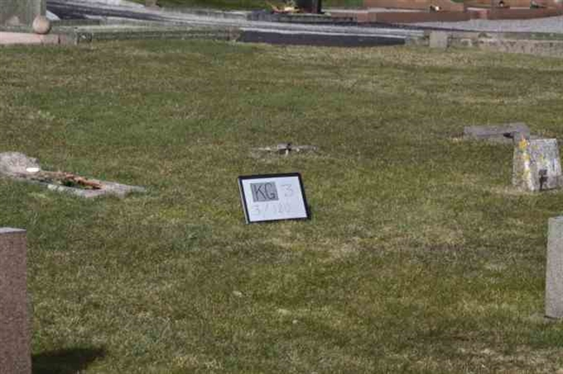 Gravnummer: 3 03   120