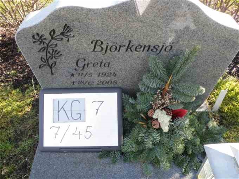 Gravnummer: 7 07    45