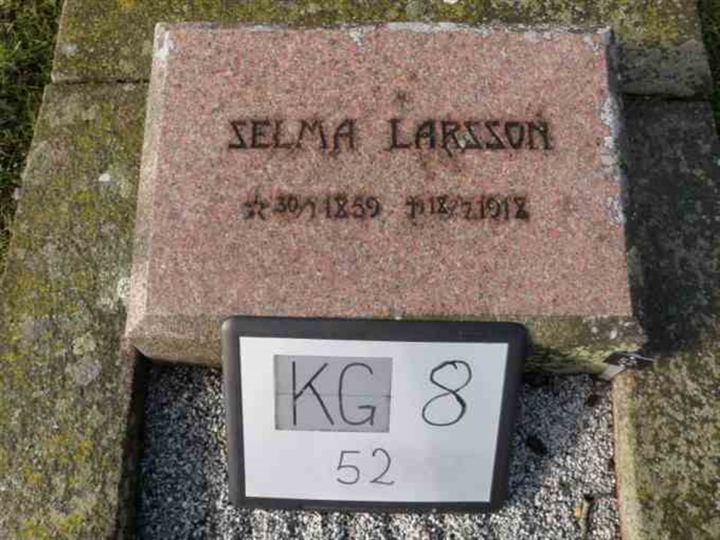 Hautatunnus: 8    52-1