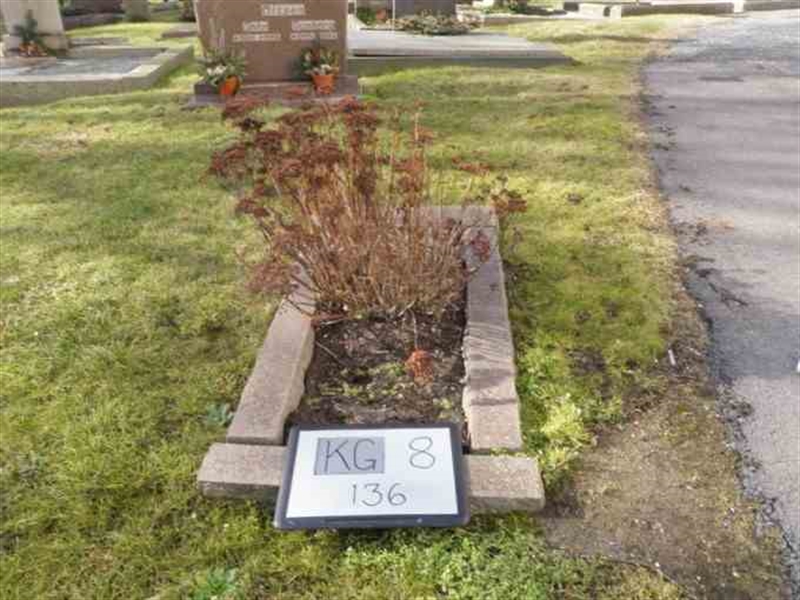 Hautatunnus: 8   136-1