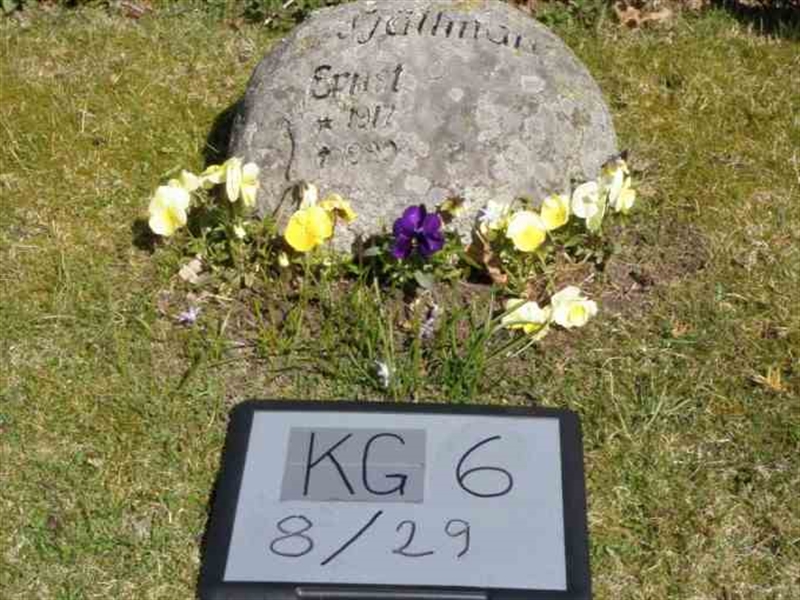 Hautatunnus: 6 08    29