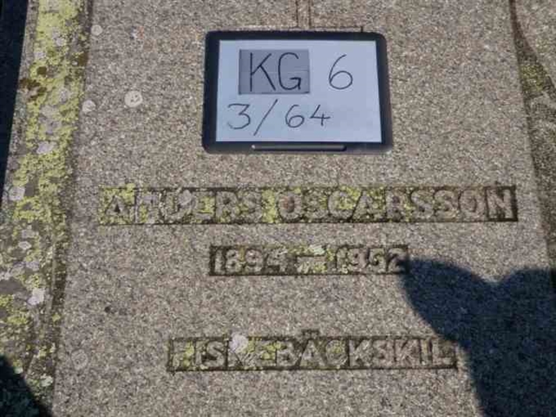 Gravnummer: 6 03    64-1