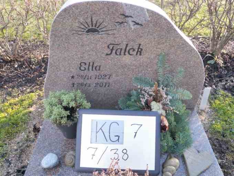 Gravnummer: 7 07    38