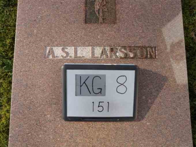 Hautatunnus: 8   151-1