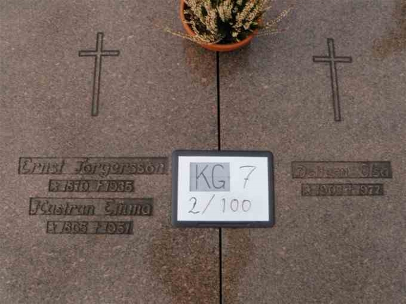 Hautatunnus: 7 02   100-2