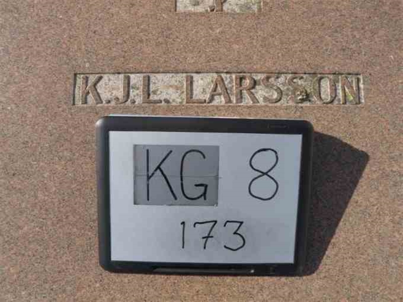 Hautatunnus: 8   173-1