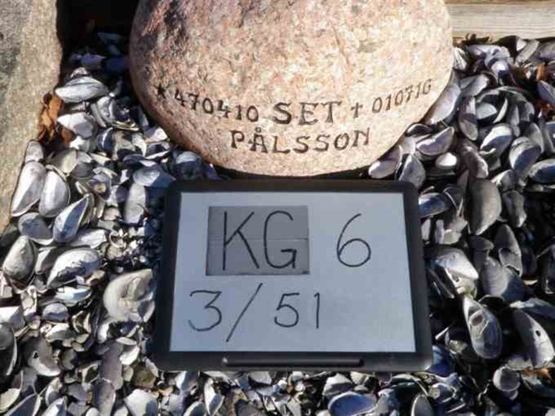 Gravnummer: 6 03    51-2