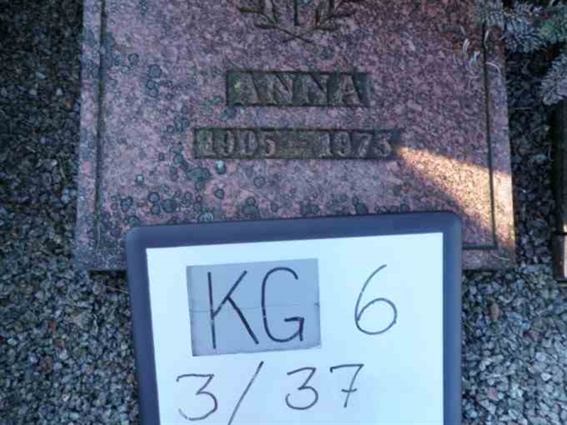 Hautatunnus: 6 03    37-2