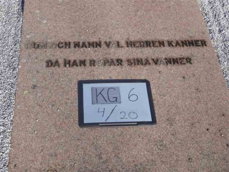 Hautatunnus: 6 04    20-2