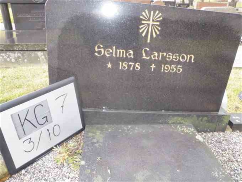 Hautatunnus: 7 03    10-1