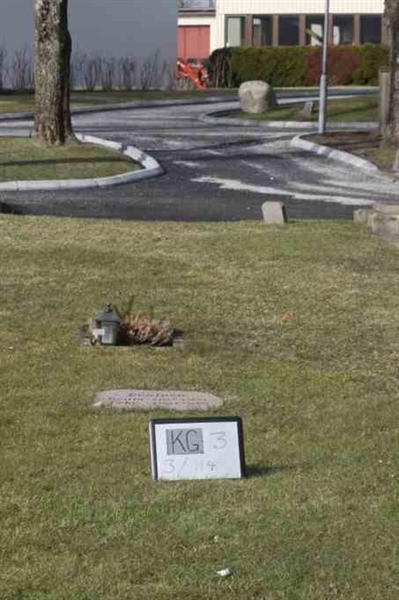 Gravnummer: 3 03   114