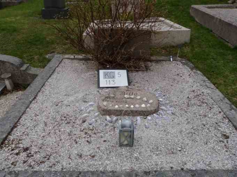 Gravnummer: 5   113-2