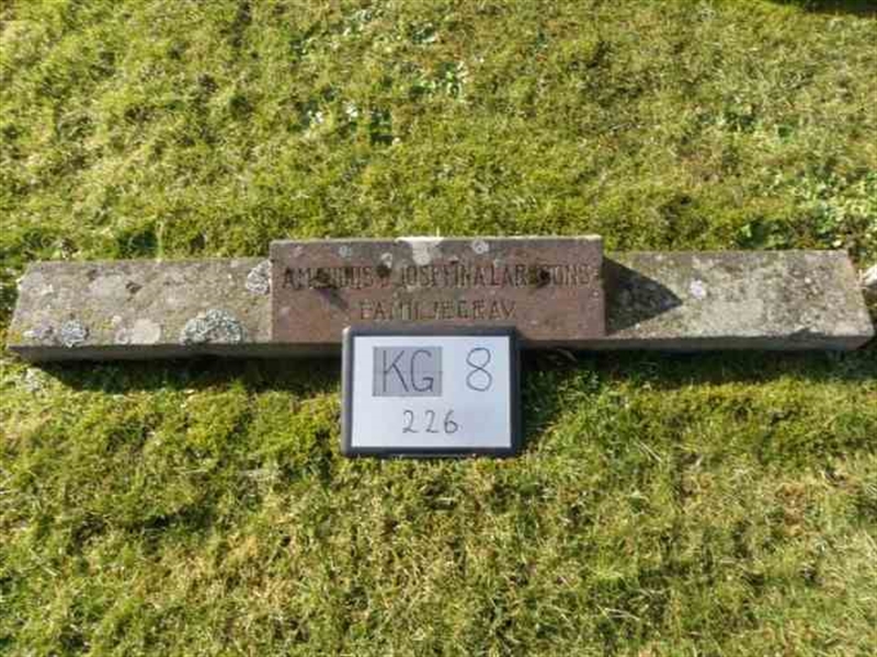 Hautatunnus: 8   226