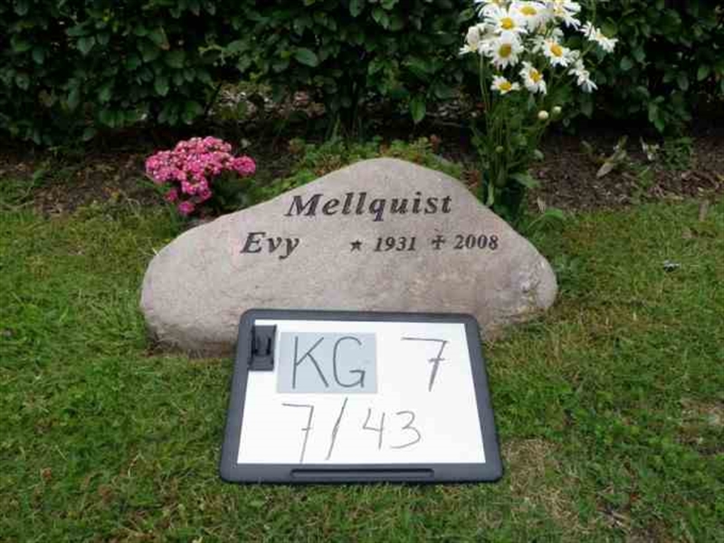 Hautatunnus: 7 07    43