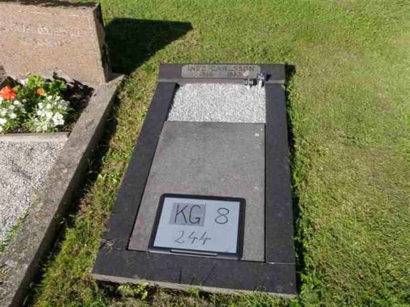 Hautatunnus: 8   244-1