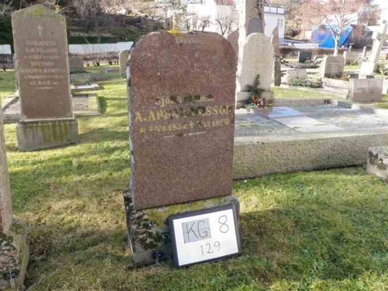 Gravnummer: 8   129-1