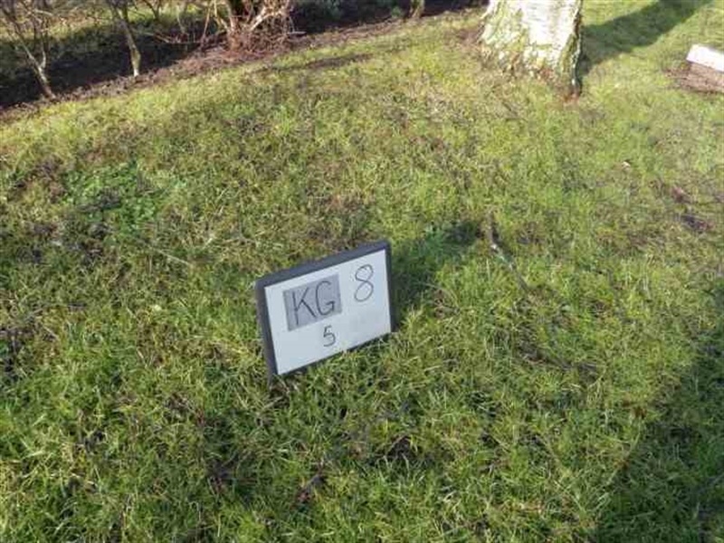 Hautatunnus: 8     5-1