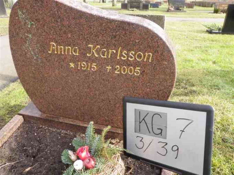 Hautatunnus: 7 03    39-1