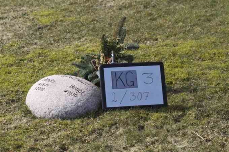 Hautatunnus: 3 02   307