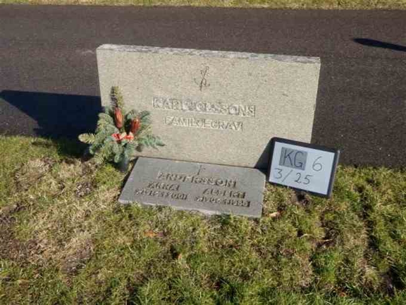 Gravnummer: 6 03    25-2