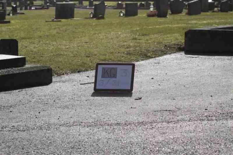 Gravnummer: 3 03    31