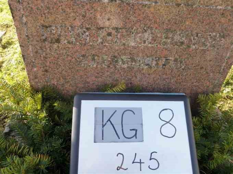 Hautatunnus: 8   245-1