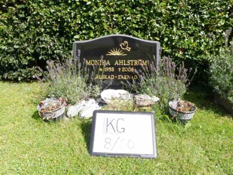 Gravnummer: 6 08    60