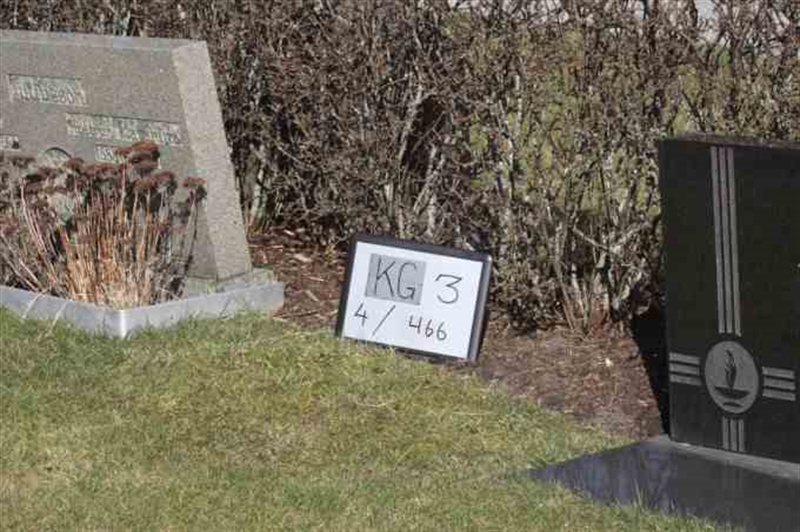 Gravnummer: 3 04   466