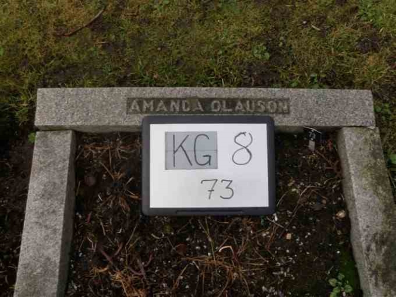 Hautatunnus: 8    73-1