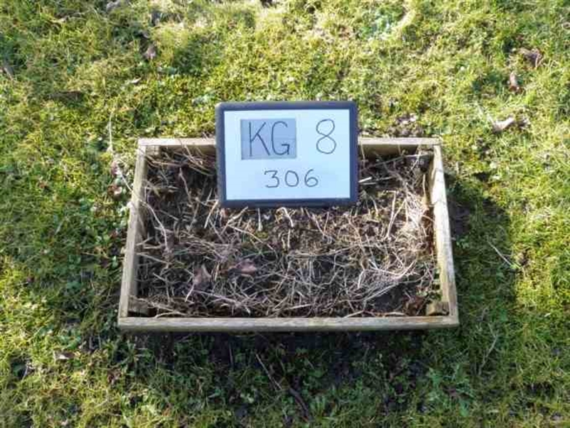 Gravnummer: 8   306-1