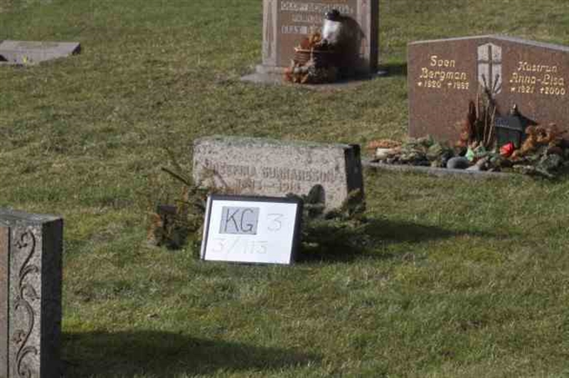 Gravnummer: 3 03   113