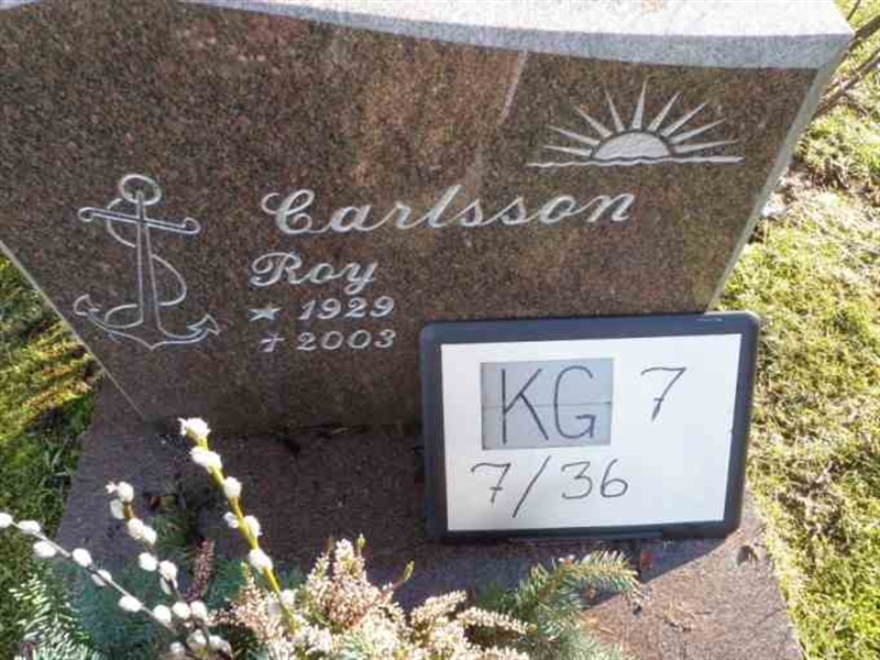 Gravnummer: 7 07    36