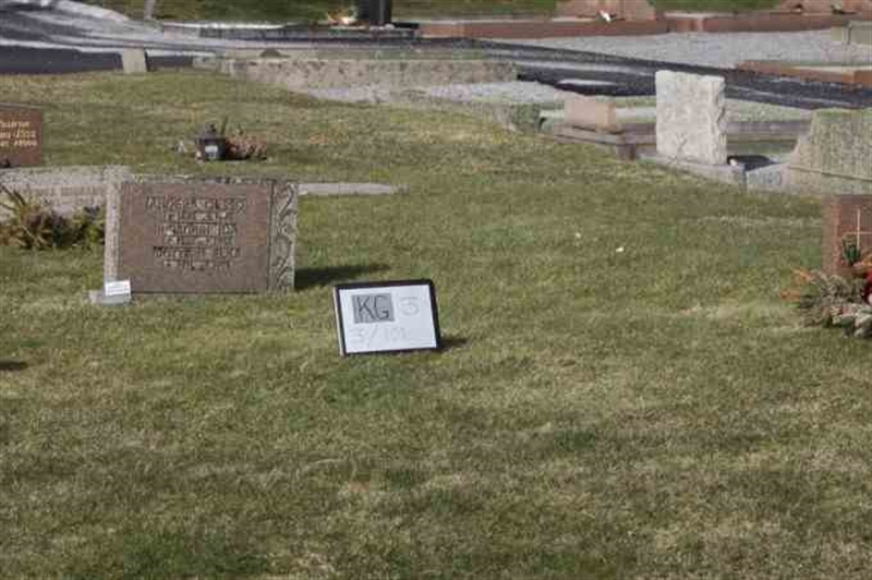 Gravnummer: 3 03   101